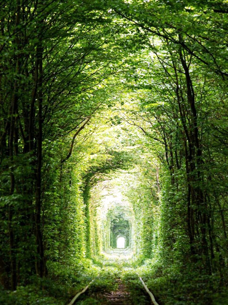 Tunnel of Love, Klevan, Ukraine