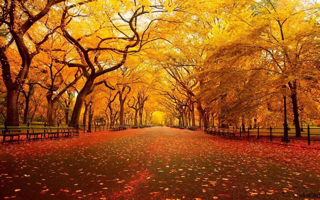 11 Awesome And Beautiful Autumn Wallpapers