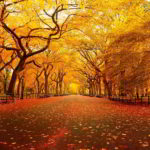 11 Awesome And Beautiful Autumn Wallpapers