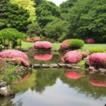 11 Awesome And Outstanding Places To Visit in Japan
