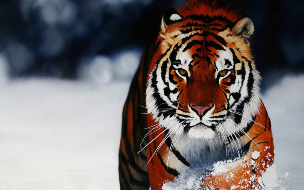 11 Awesome And Cute Animal Wallpapers