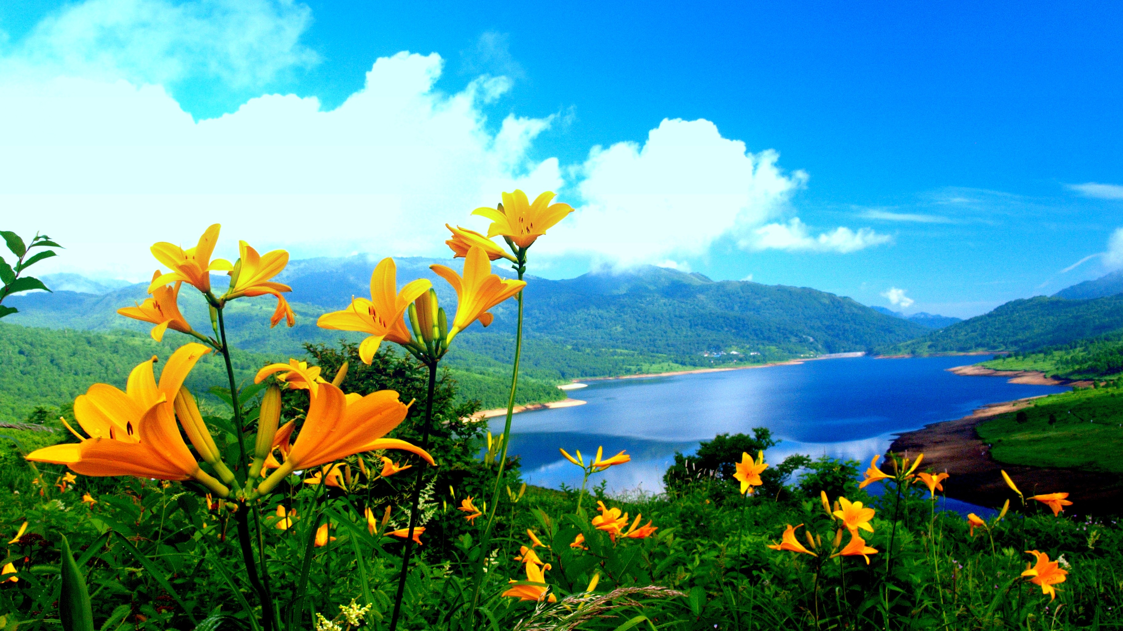 11 Awesome And Beautiful Nature Wallpapers To Download - Awesome 11