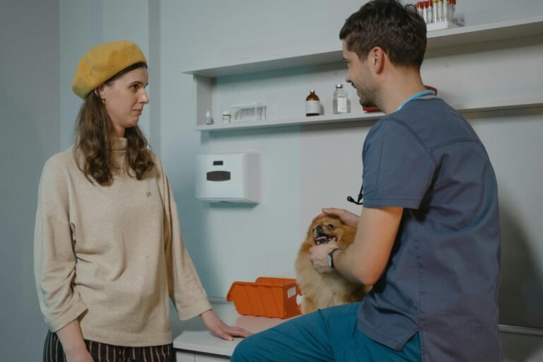 Best Veterinary Clinic in Dubai: A Complete Guide for Pet Owners